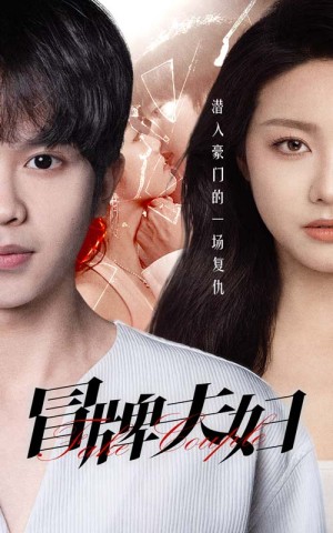 《冒牌夫妇》（73集）