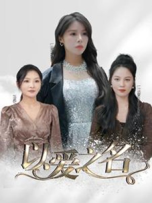 《以爱之名》（100集）