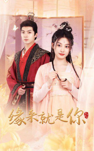 《新版：缘来就是你》（65集）