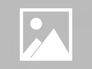 退休后霸道总裁爱上我（72集）