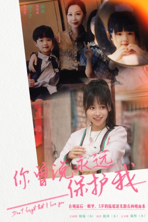 《假如爱可以重来（你曾说永远保护我）只是一直很爱你》（79集）