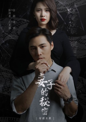 妻子不能说的秘密（妻子的秘密）（30集）