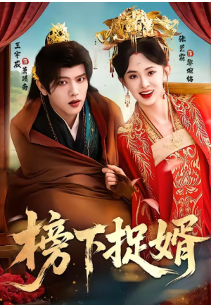 榜下捉婿（82集）