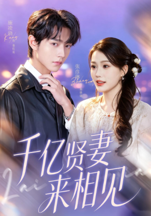 钻石贤妻来相见＆千亿贤妻来相见（72集）