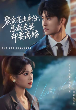 聚会亮出身份总裁老婆却要离婚（81集）