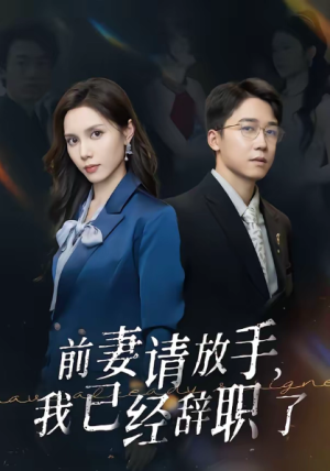 前妻请放手我已经辞职了（30集）